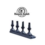 کوئل تارا عظام