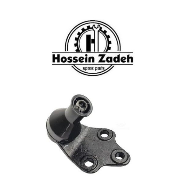 سیبک طبق فیدلیتی